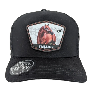 Gorra Ranch & Corral Stallion Negro Trucker Semicurva Snapback